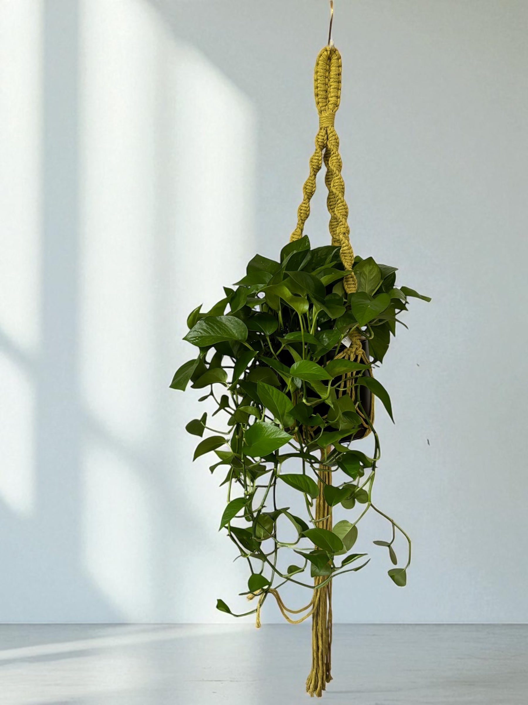 Modern Classics Plant Hanger, Home Decor
