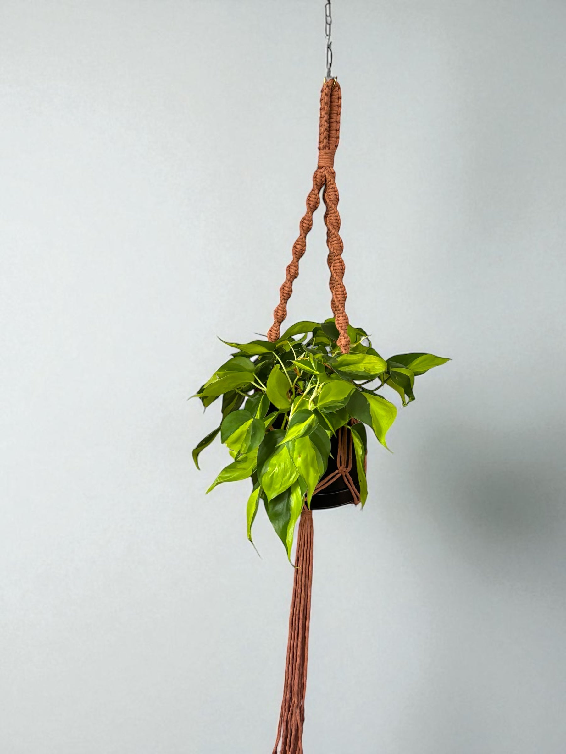 Modern Classics Plant Hanger, Home Decor