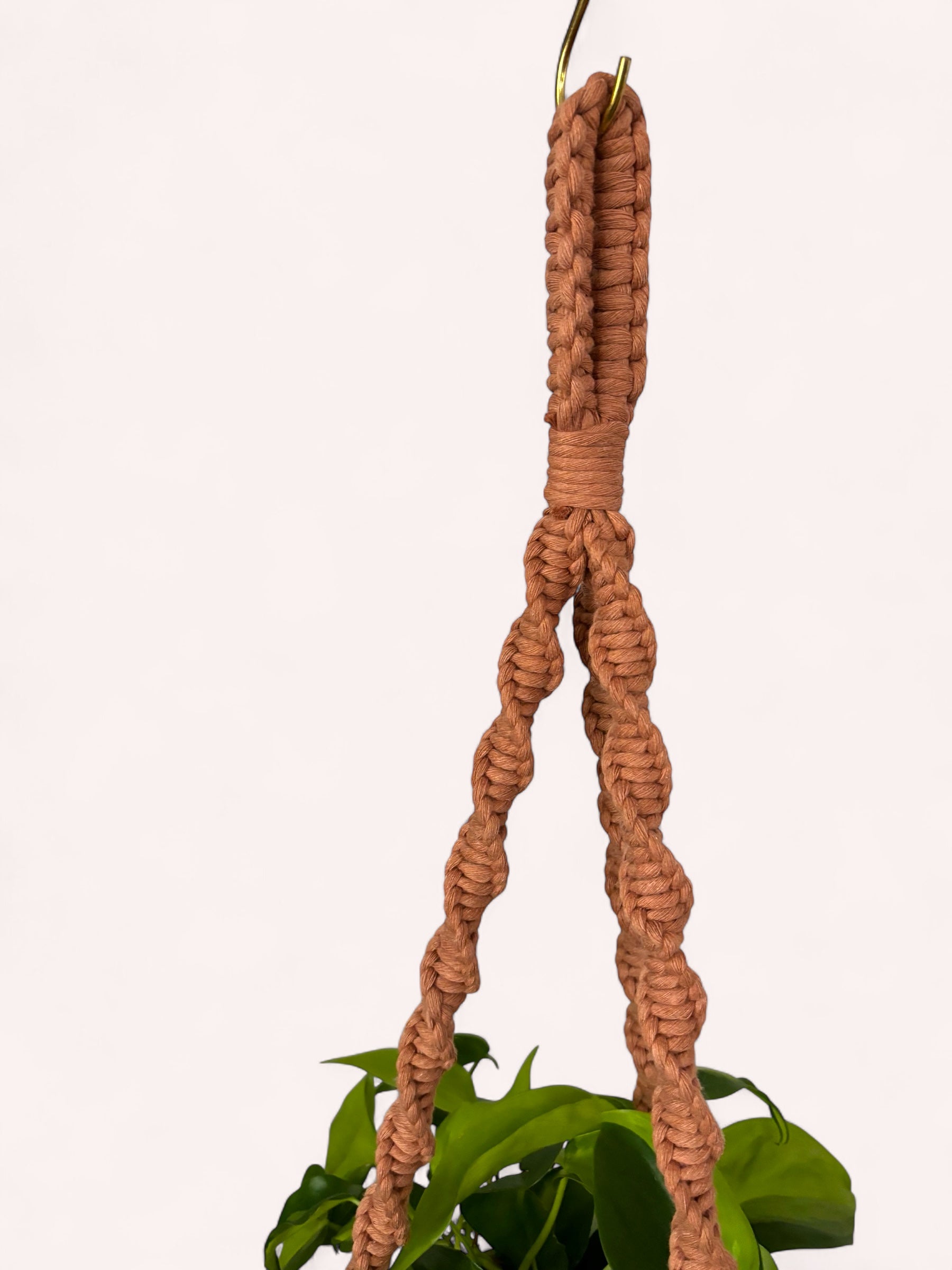 Modern Classics Plant Hanger, Home Decor