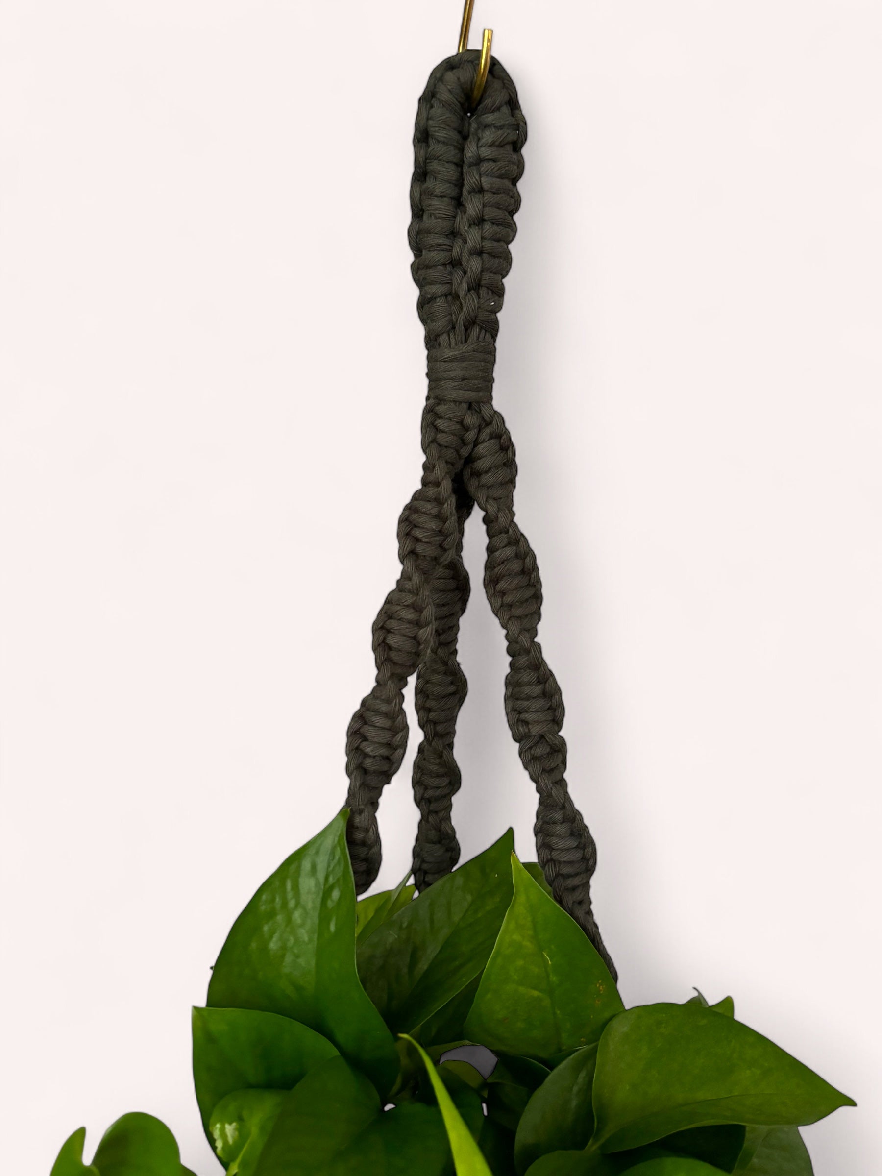 Modern Classics Plant Hanger, Home Decor
