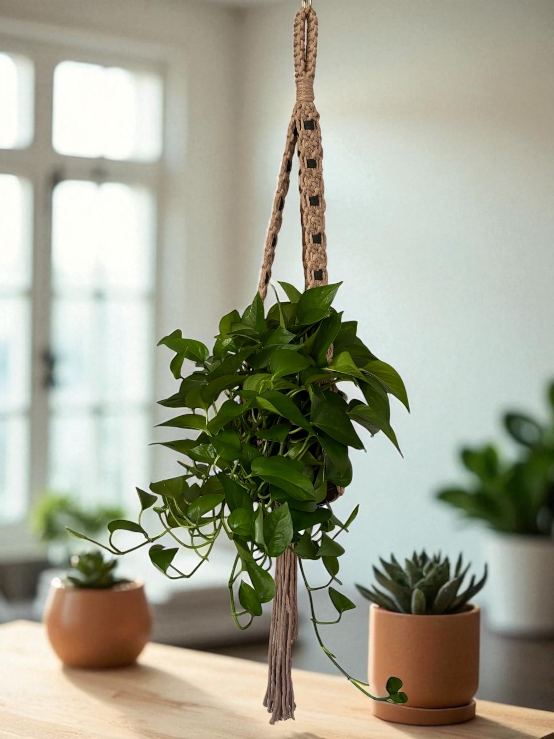Modern Checker Plant Hanger, Champagne + Noir