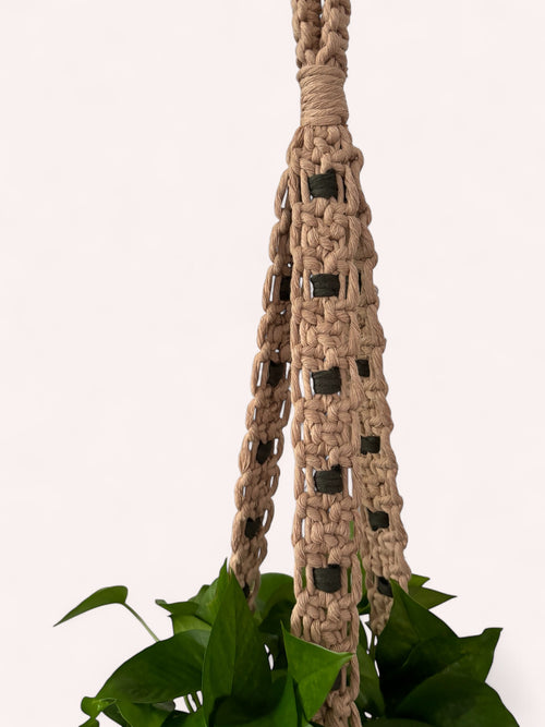 Modern Checker Plant Hanger, Champagne + Noir