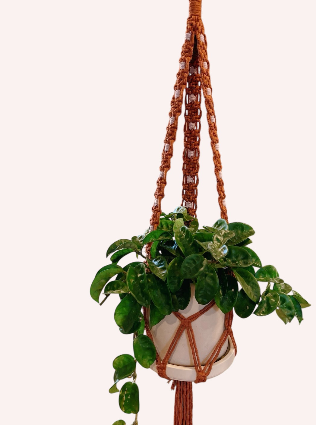 Modern Checker Plant Hanger, Rust + Lavender