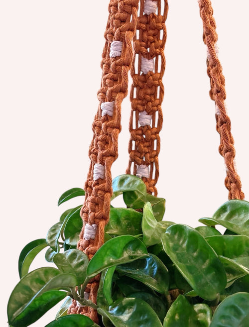 Modern Checker Plant Hanger, Rust + Lavender