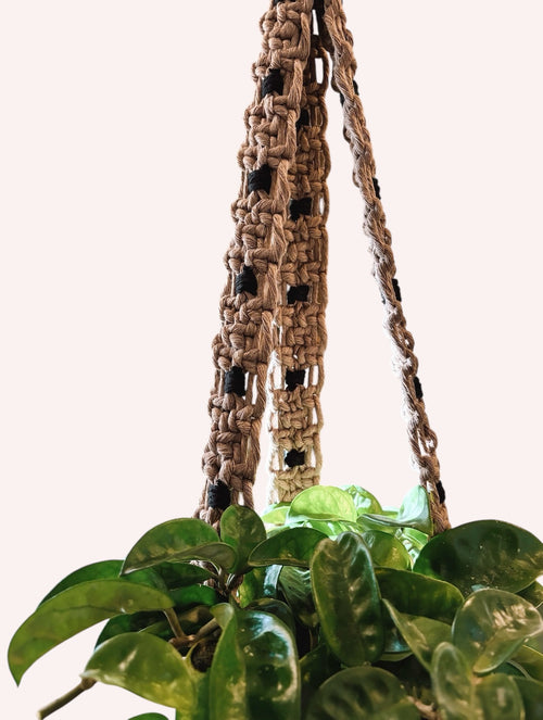 Modern Checker Plant Hanger, Mocha + Black