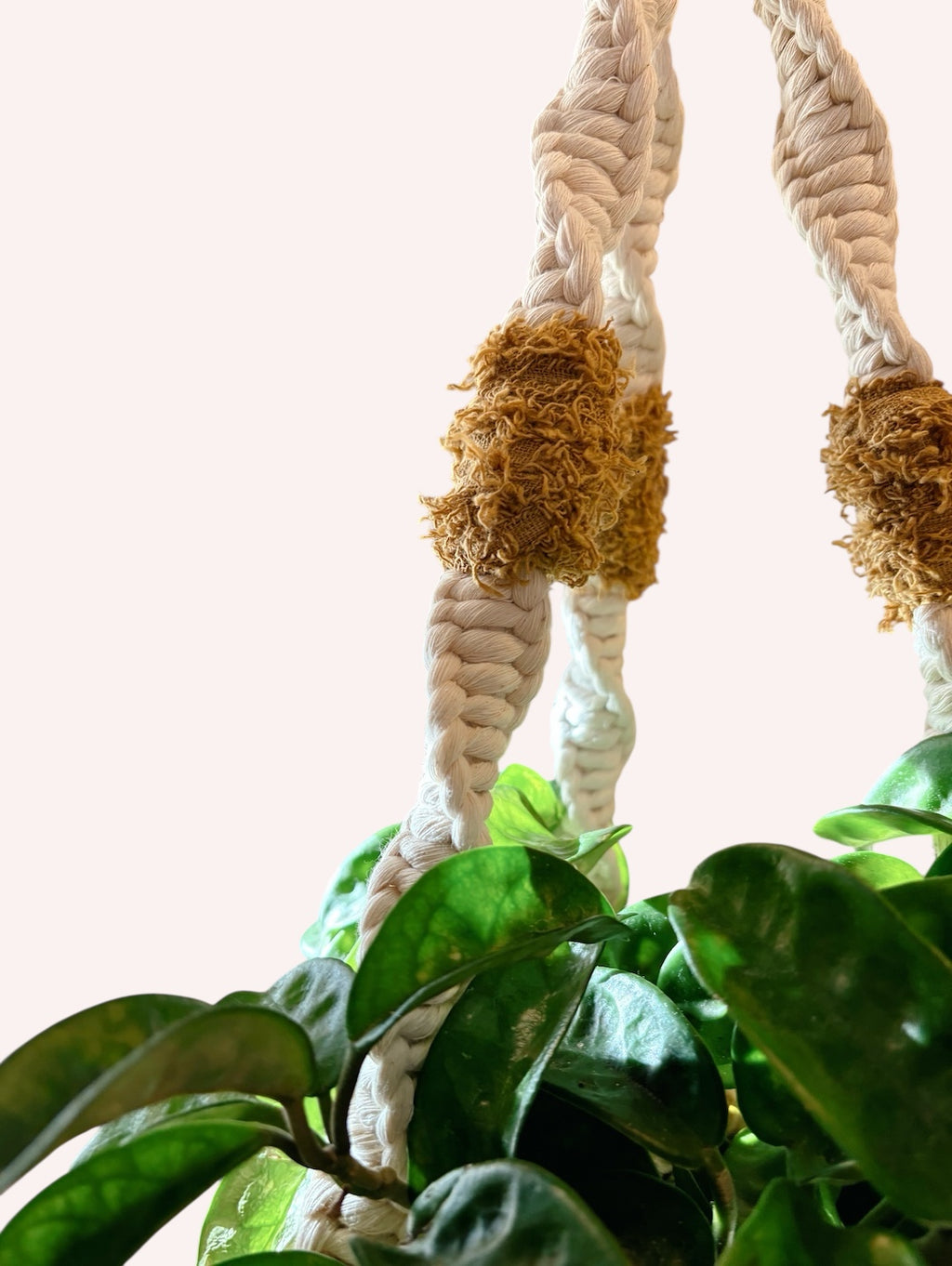 Texture Pop Plant Hanger, Modern Home Decor