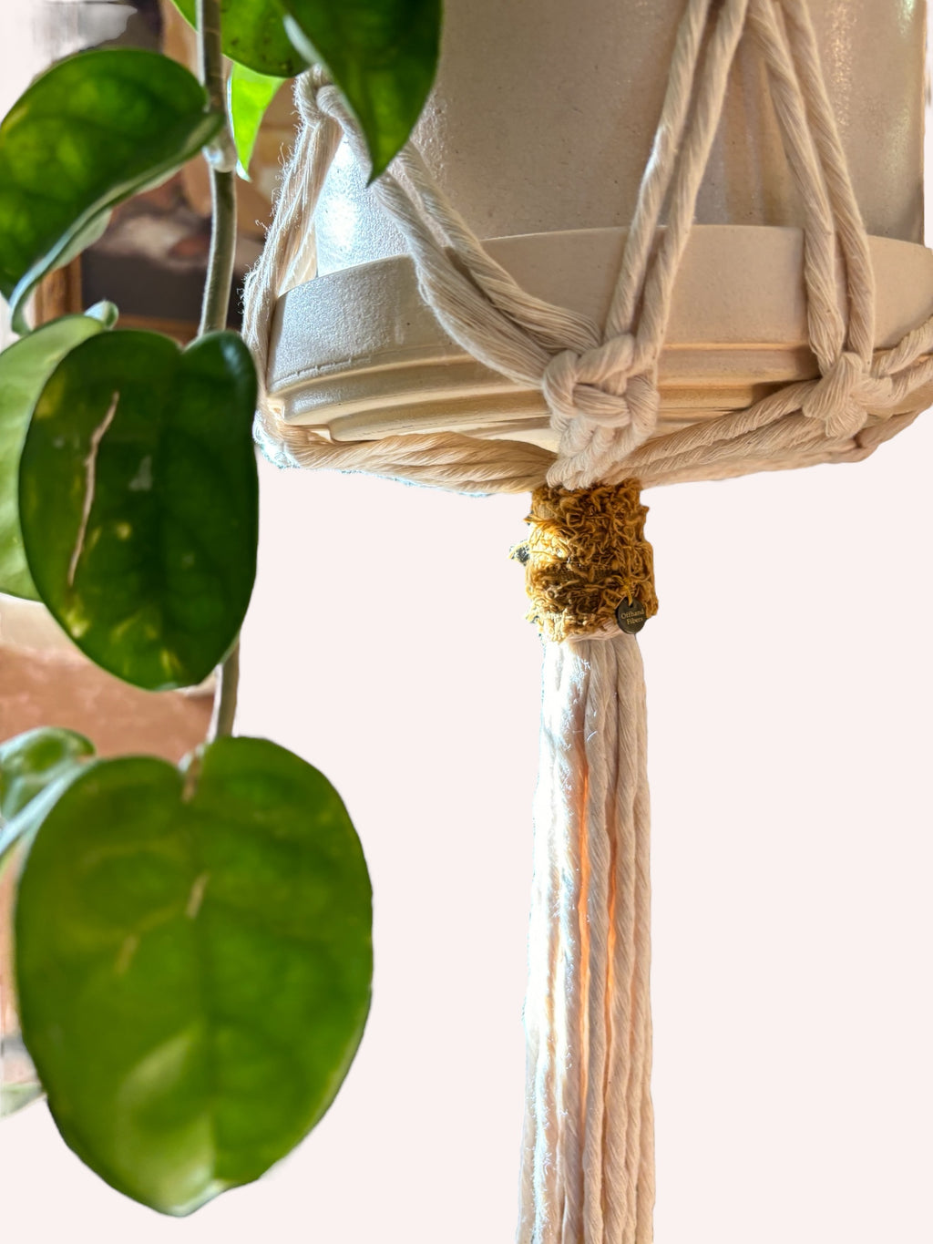 Texture Pop Plant Hanger, Modern Home Decor