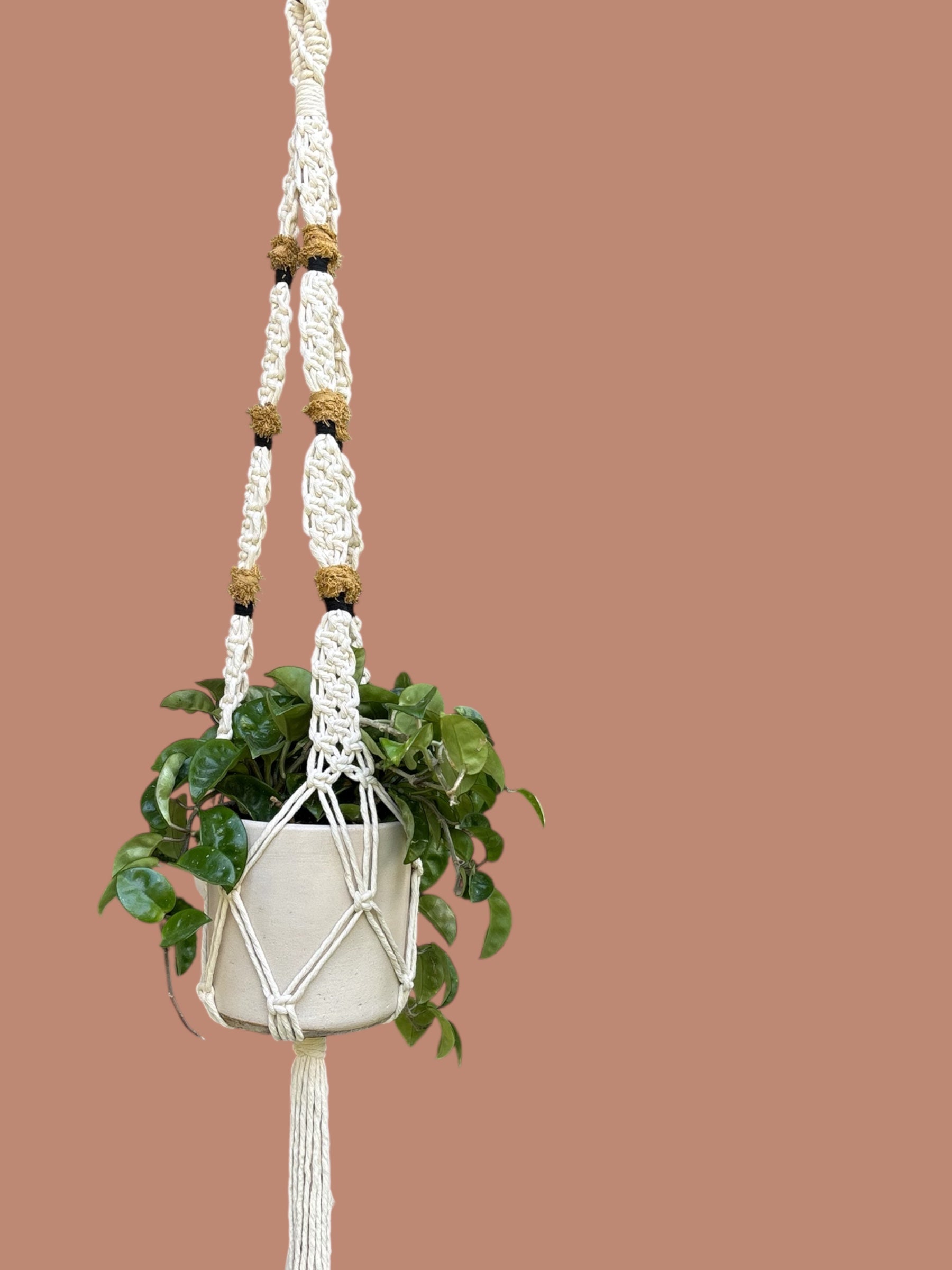 Modern Statement Plant Hanger, Home Decor