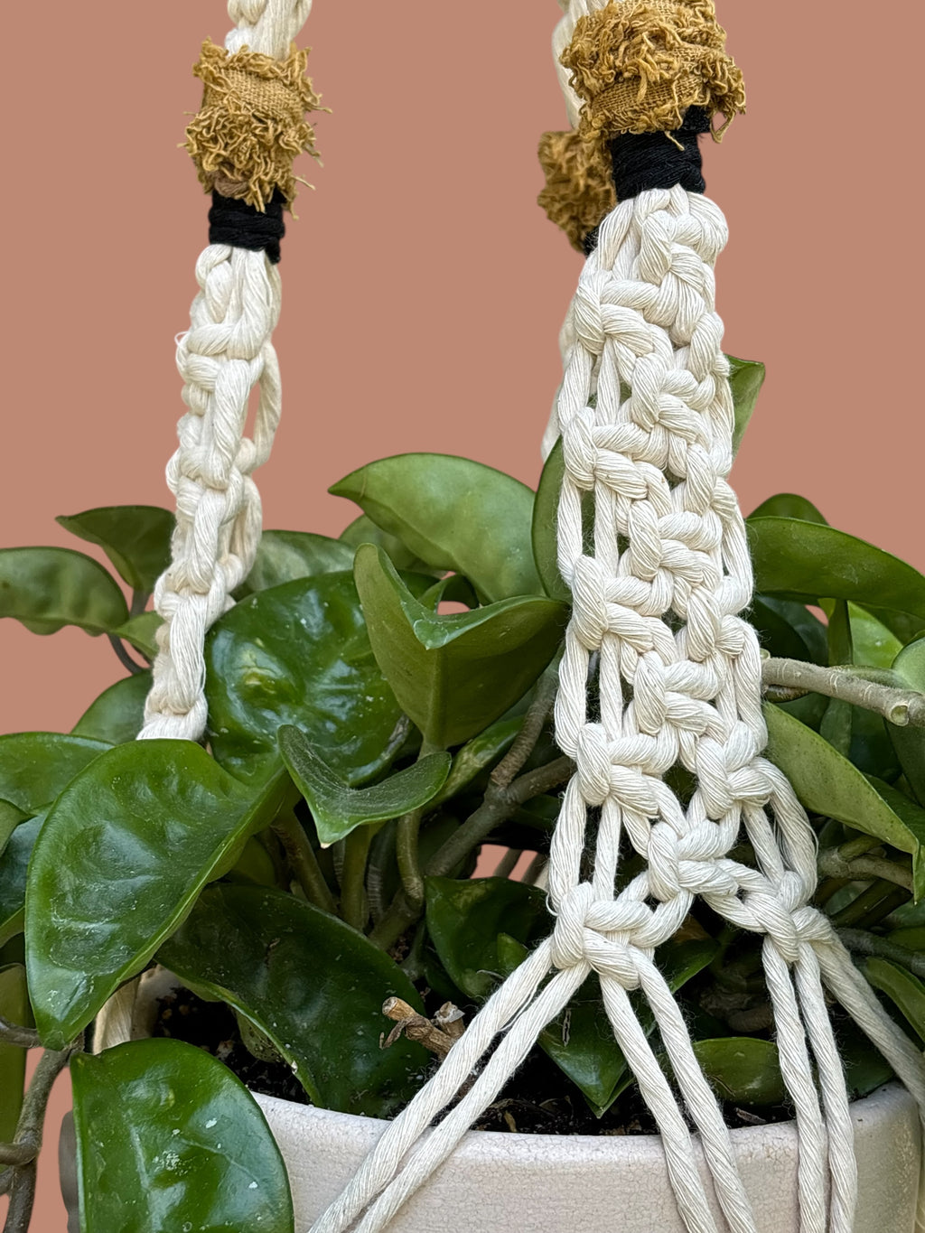 Modern Statement Plant Hanger, Home Decor