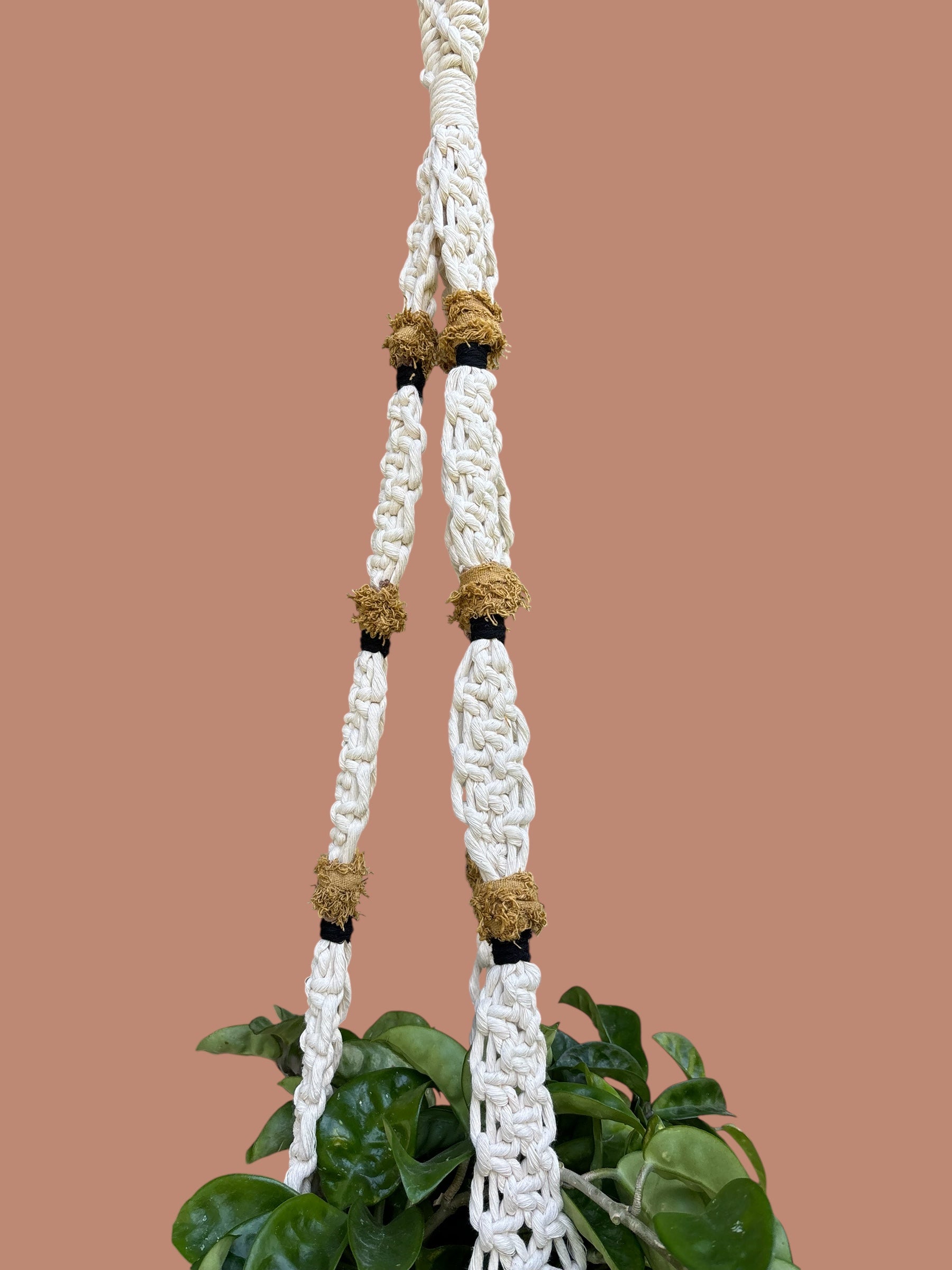 Modern Statement Plant Hanger, Home Decor