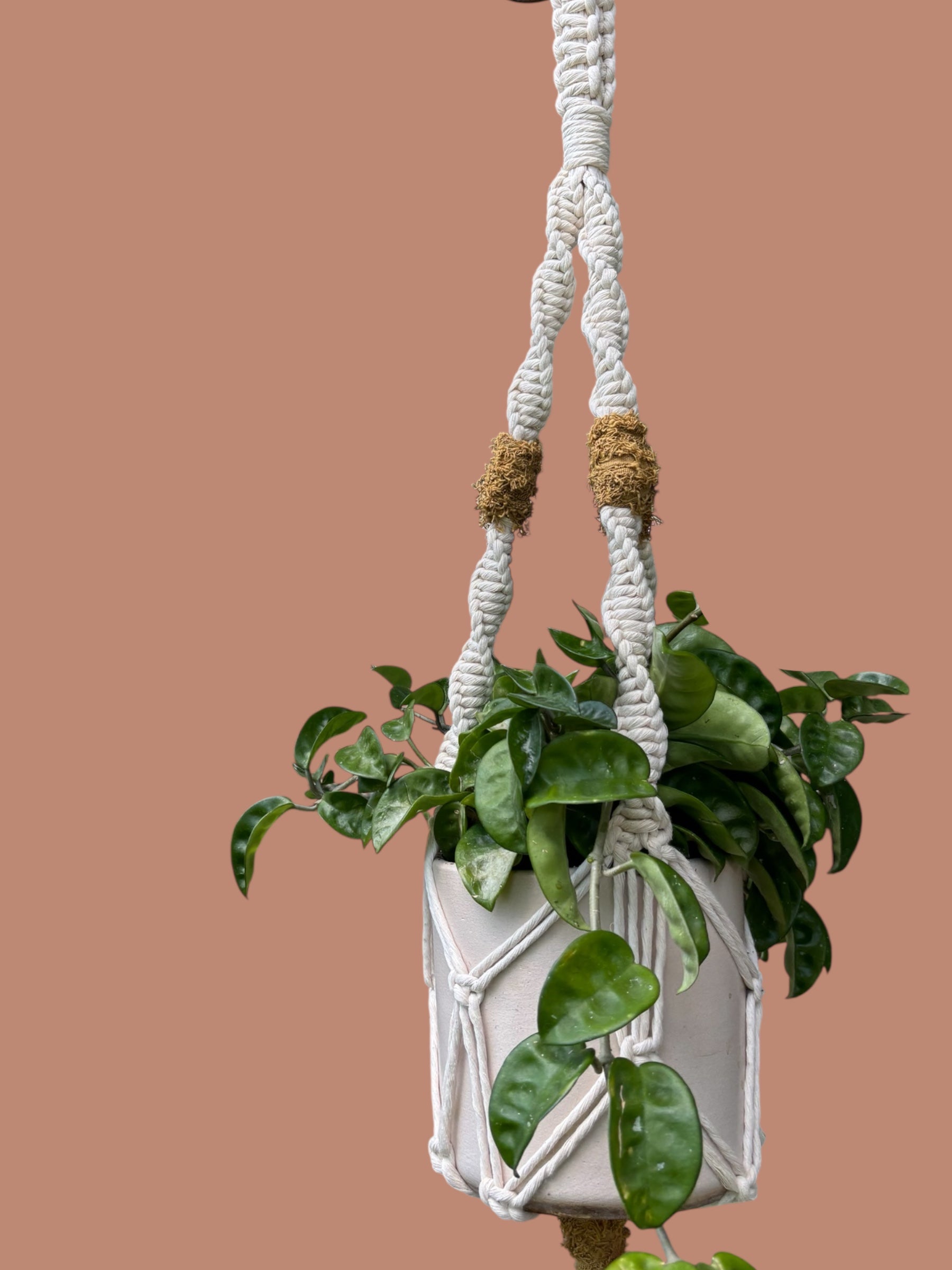 Texture Pop Plant Hanger, Modern Home Decor