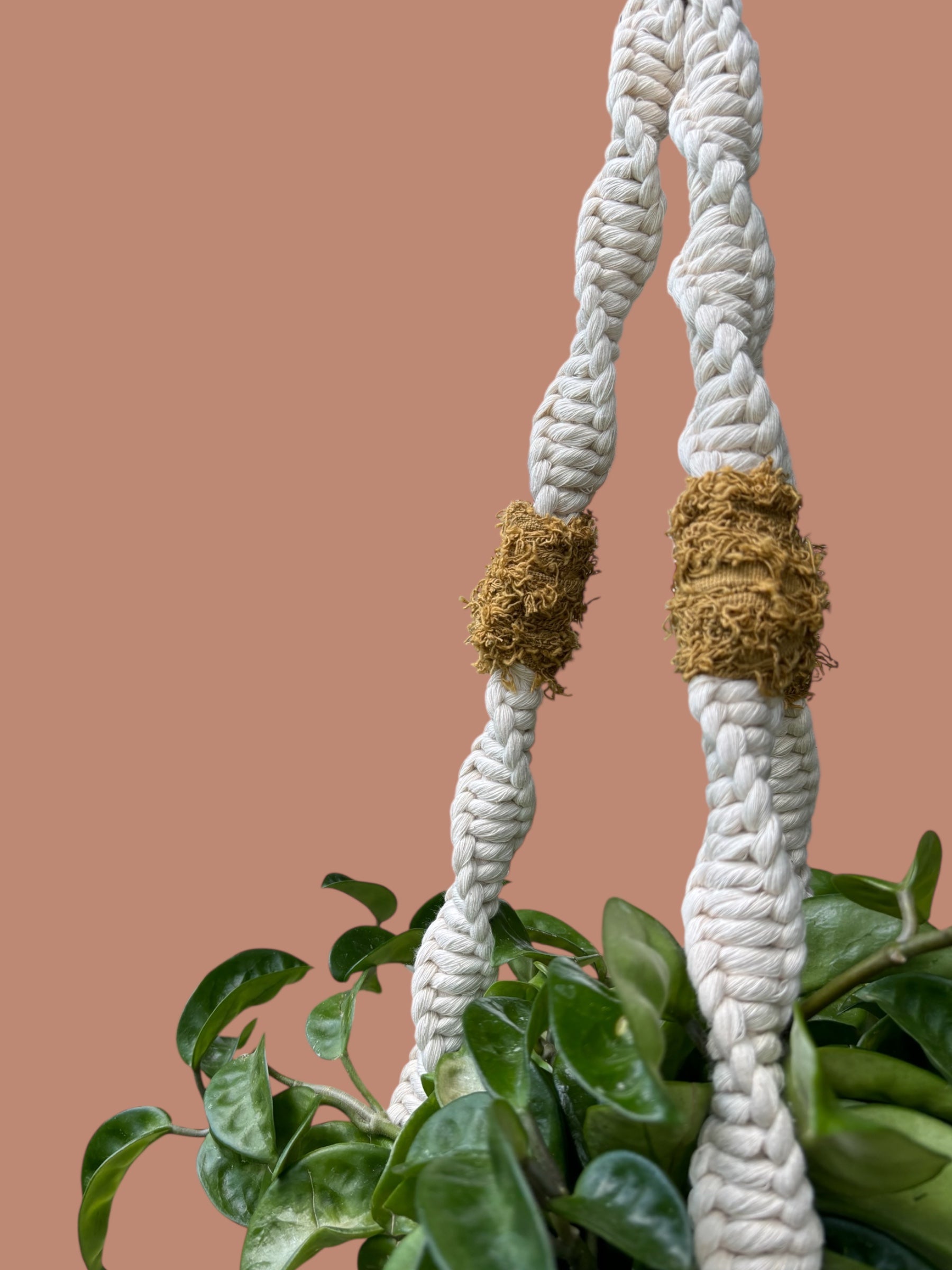 Texture Pop Plant Hanger, Modern Home Decor