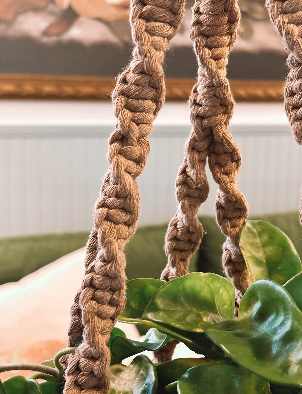 Hold No. 3, Plant Hanger