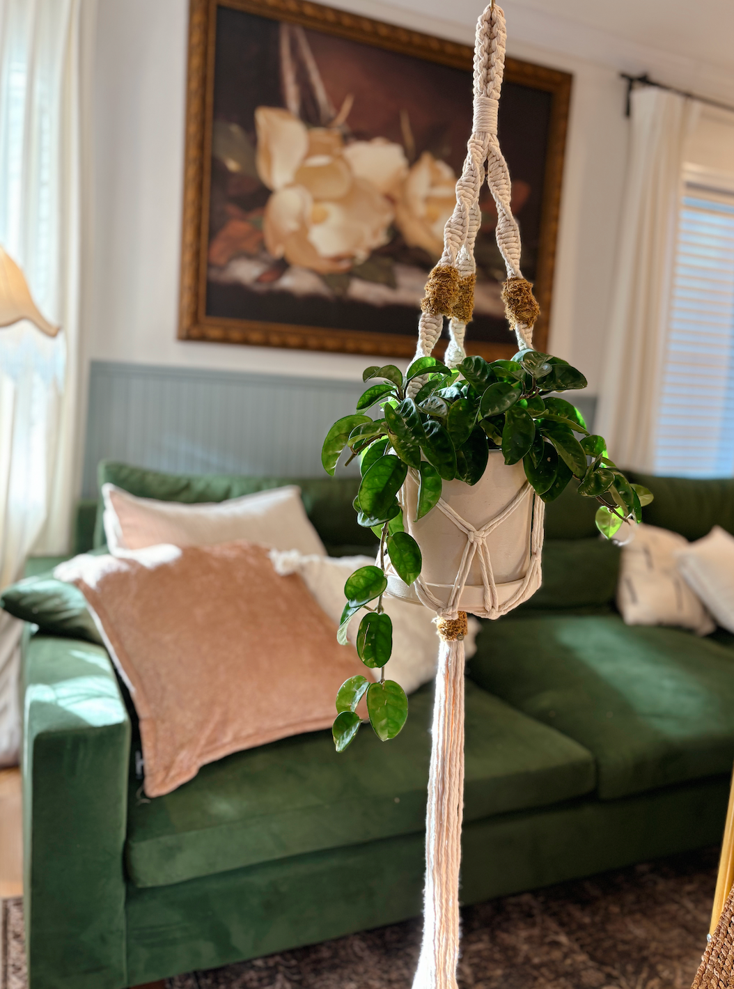 Texture Pop Plant Hanger, Modern Home Decor