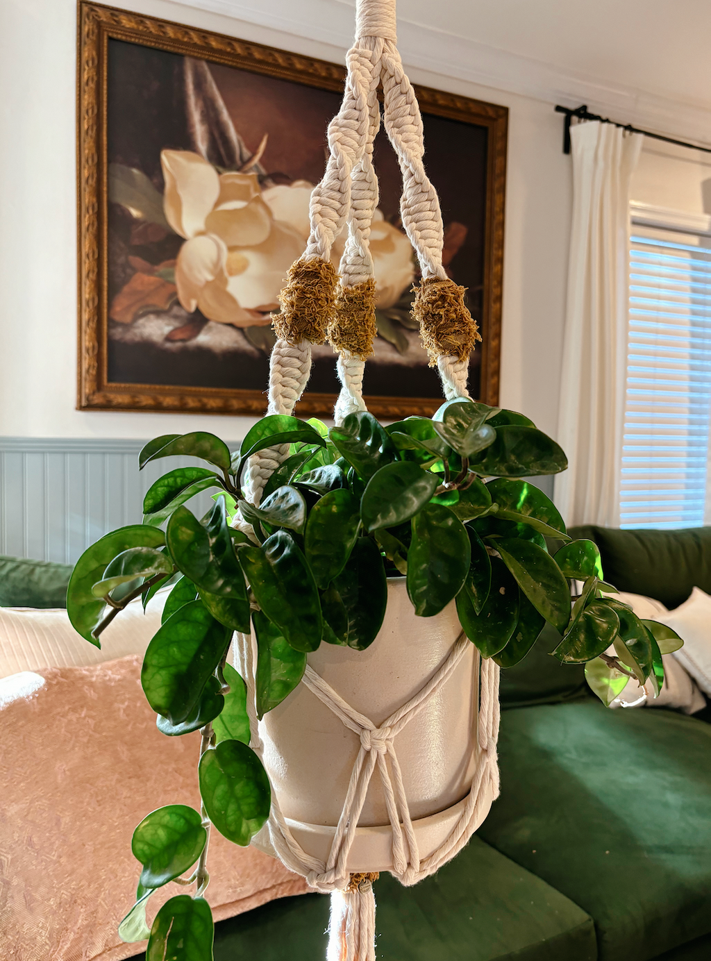 Texture Pop Plant Hanger, Modern Home Decor