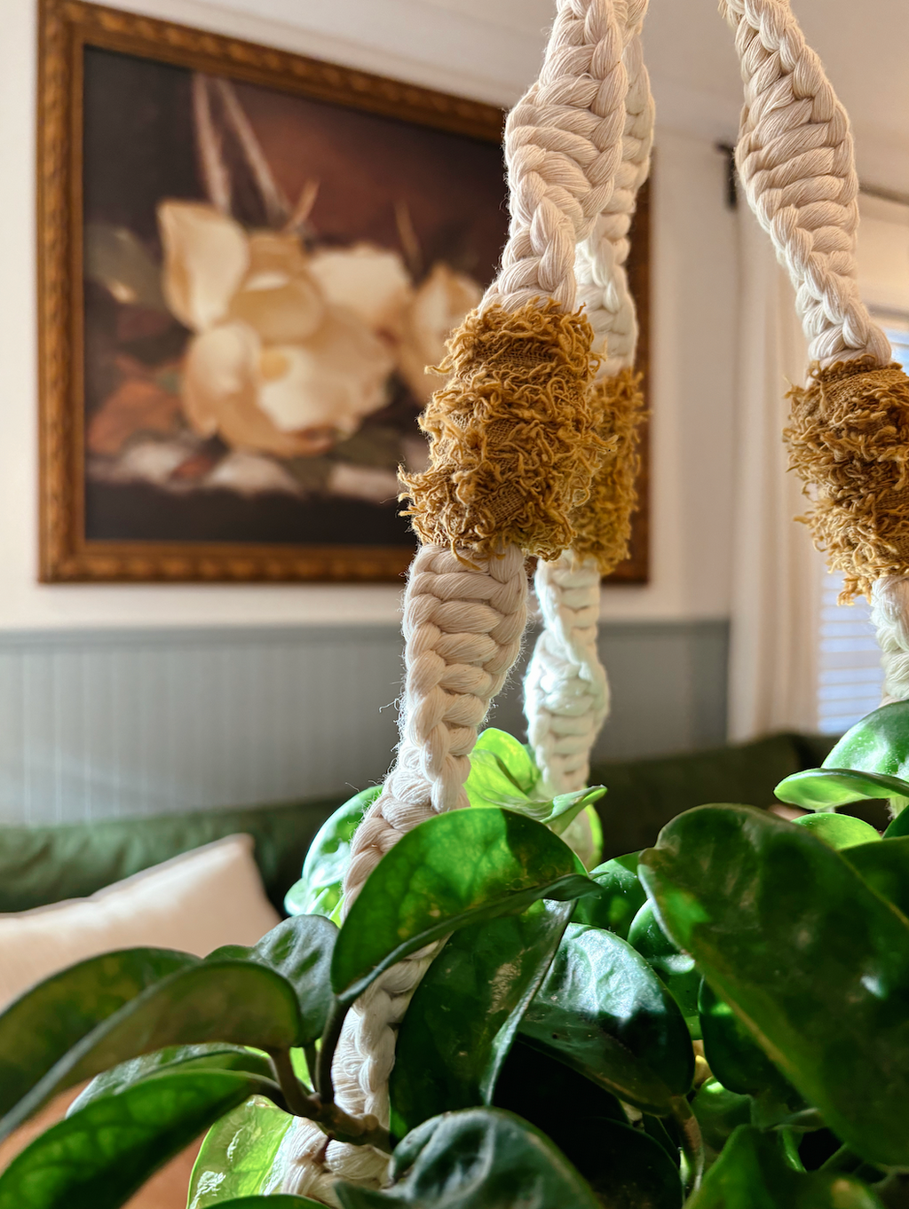 Texture Pop Plant Hanger, Modern Home Decor