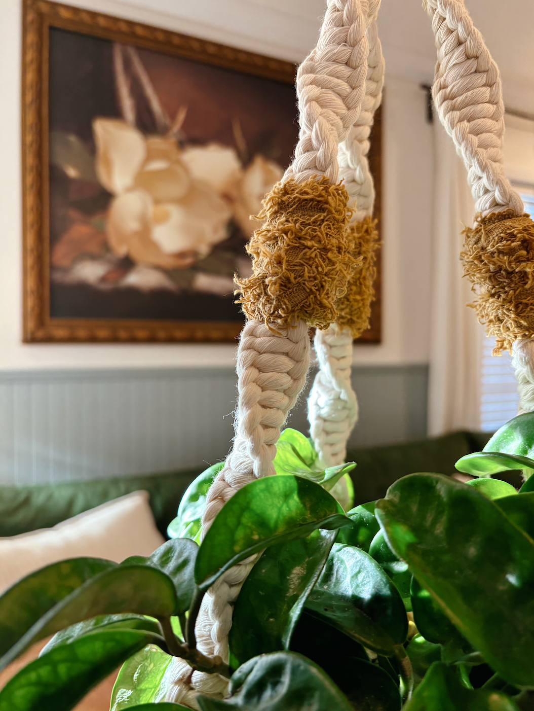 Texture Pop Plant Hanger, Modern Home Decor