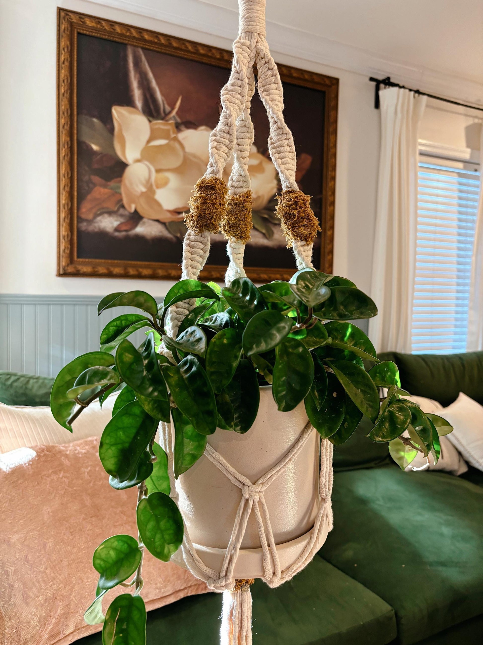 Texture Pop Plant Hanger | Modern Vintage Style Home Decor | Planter