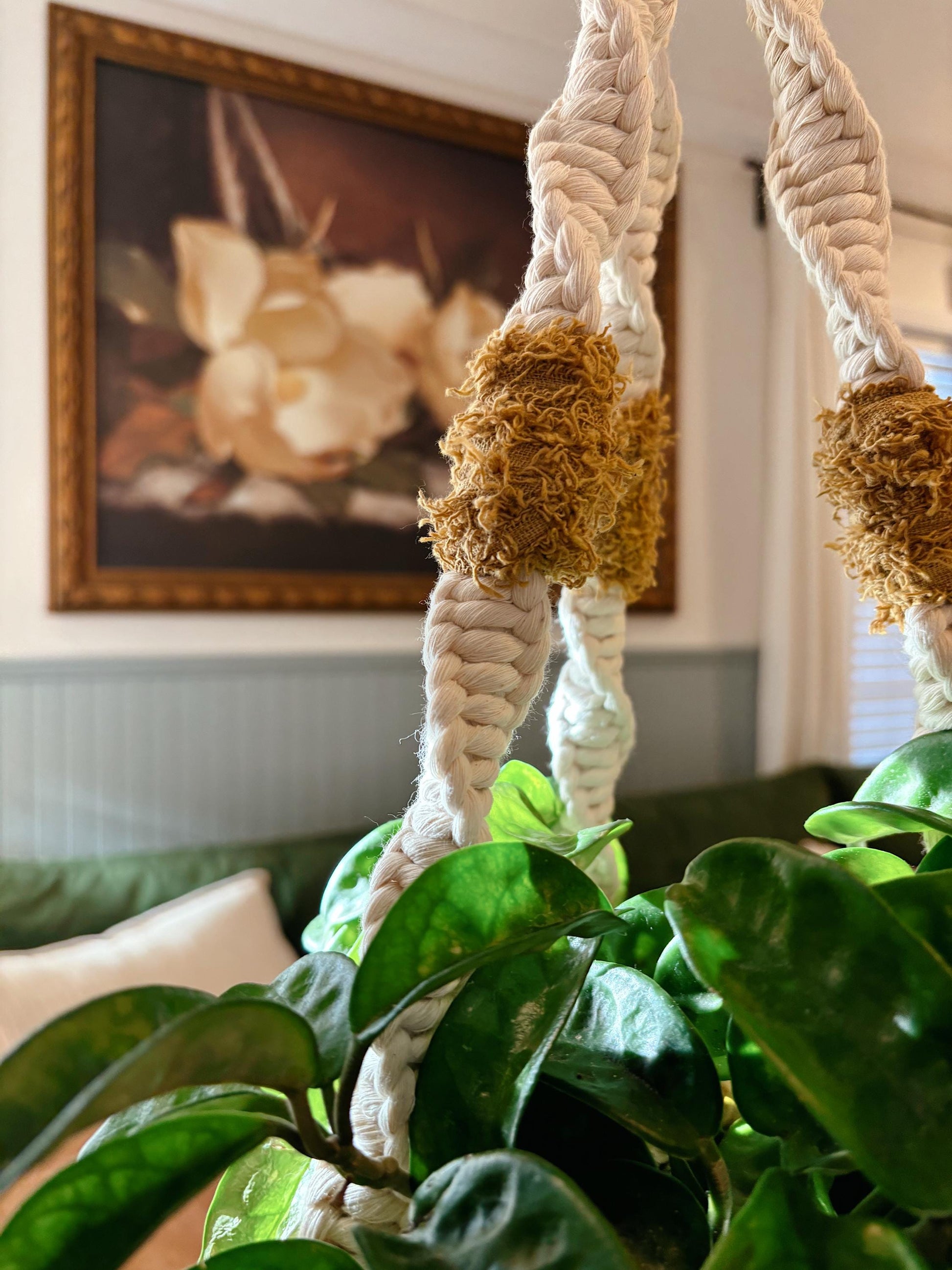 Texture Pop Plant Hanger | Modern Vintage Style Home Decor | Planter