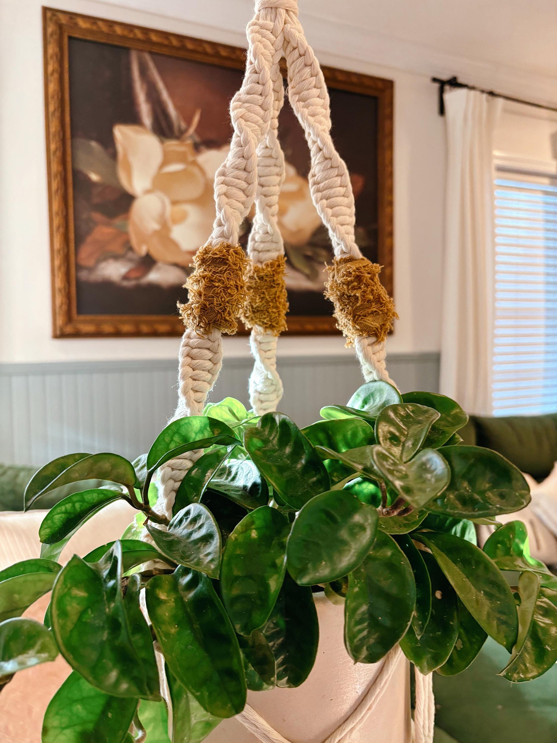 Texture Pop Plant Hanger | Modern Vintage Style Home Decor | Planter